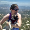 Pooch Paradise in Mira Mesa! dog boarding & pet sitting