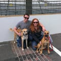 Friendly Pups with Big Fenced Yard! dog boarding & pet sitting