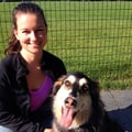 Warm and Responsible Dog Lover! dog boarding & pet sitting