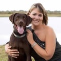 Richmond Animal Lover! dog boarding & pet sitting