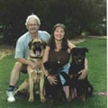 Highland's Home-Away dog boarding & pet sitting