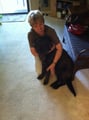 gooddogmom dog boarding & pet sitting