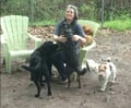 Retired Vet. Tech/Cert. Trainer dog boarding & pet sitting