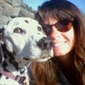 Santa Cruz Mountain Doggie Retreat dog boarding & pet sitting