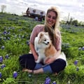 Fluffies of Uptown! dog boarding & pet sitting