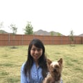 Dog Sitters with a Loving Home! dog boarding & pet sitting