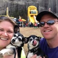 Chihuahua Castle Welcomes Friends! dog boarding & pet sitting