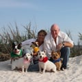 The Irish Sitters, LLC dog boarding & pet sitting