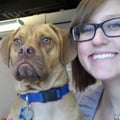 A Pooch Play Palace in Englewood! dog boarding & pet sitting