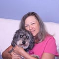 Wags and Kisses in NW Austin dog boarding & pet sitting