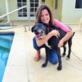 Stacy's Critter Sitters dog boarding & pet sitting