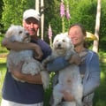 Experienced, Pet Loving Couple! dog boarding & pet sitting