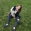 Paw-some Love in NYC dog boarding & pet sitting