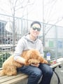 Canine Castle in Chelsea/HK! dog boarding & pet sitting