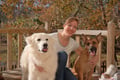 Sit 'n' Stay-cation dog boarding & pet sitting
