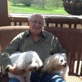 Doggie's Grandpa dog boarding & pet sitting