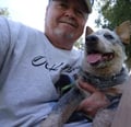 OCK-9Services/Laguna Hills dog boarding & pet sitting