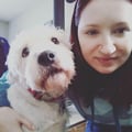 Dani's Pet Care, 10+ yrs experience dog boarding & pet sitting