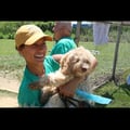 Yonkers Puppy Palace! dog boarding & pet sitting