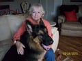 Joan's Creature Comforts dog boarding & pet sitting