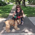 Angie and Jack's Pet Care dog boarding & pet sitting