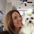 You're dogs are my fur babies!! dog boarding & pet sitting