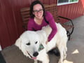 Sit and Travel with Angela dog boarding & pet sitting