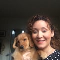 Fun with Golden! dog boarding & pet sitting