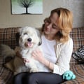 Einstein's Echo Park Playhouse dog boarding & pet sitting