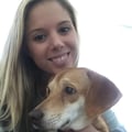 Loving pet care in Alexandria dog boarding & pet sitting