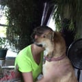 TLC Pet Care dog boarding & pet sitting