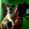 Marci Darci's Pet Care dog boarding & pet sitting