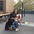 Tyra the Talented Pet Sitter dog boarding & pet sitting