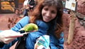 Animal Lover For Your Pet dog boarding & pet sitting