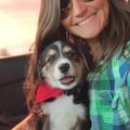 Shelby's Fun Get-a-Way dog boarding & pet sitting