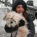 Luxe Dog Jersey City dog boarding & pet sitting