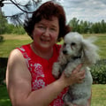 Poodle Haven, but All Dogs Welcome dog boarding & pet sitting