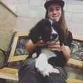 Lakewood Dog Lovers Association dog boarding & pet sitting