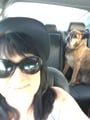Rhonda's Blossom Hill Playhouse dog boarding & pet sitting