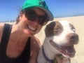Wag, Walk, Play & Stay Santa Monica dog boarding & pet sitting