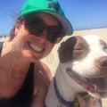Wag, Walk, Play & Stay Santa Monica dog boarding & pet sitting
