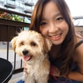 Pampered Pups in Griffintown dog boarding & pet sitting