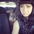 Sasha and Luna's Pet Care dog boarding & pet sitting