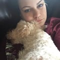 Jocelyn pet-stylist and more dog boarding & pet sitting