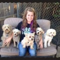 Affordable Pet Sitting And Grooming dog boarding & pet sitting