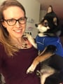 Boulder Dog Hiker for Hire! dog boarding & pet sitting
