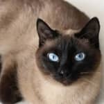 Sitter Profile Image: Brenda K.