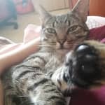 Sitter Profile Image: Celia W.