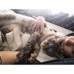 Sitter Profile Image: Courtney C.