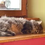 Sitter Profile Image: Amandine P.